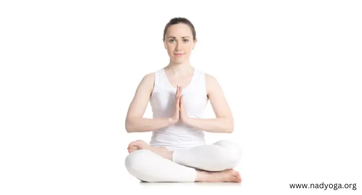 Half Lotus Pose 🧘 Meditation For Beginners 🧘‍♂️ Yoga For Beginners 🧘‍♀️  Ardha Padmasana - YouTube